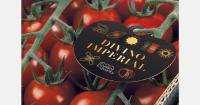 New 8.4-hectare glass greenhouse and lighting trials for Spanish grower