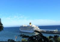 Swiss MSC Shipping counts on control over German Meyer Werft