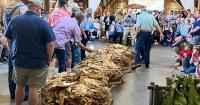 Experience living agricultural history at the "Granville Gold: Mock Tobacco Auction"