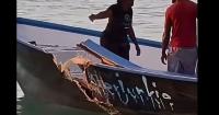 Tourists among Pigeon Point victims