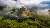 4th "From Ziquejie Terraces To The World" Global Farming Culture Exchange and Mutual Learning Conference Opens in Loudi, Hunan