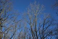 Fall Has Arrived In South Dakota. Now What?