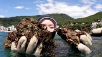 Young Haenyeo Use YouTube To Keep South Korea’s Sea Women Tradition Alive