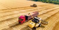 Agrivia Oil gets a new owner in major agribusiness deal