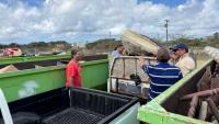 Island cleanup action “Cuida Aruba” with a focus on community participation
