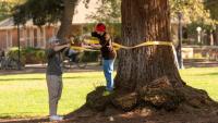 U.S. News Elevates UC Davis’ Ranking, Recognizing Excellence and Value