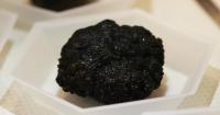 Suit says Marianas mining lease sale skipped a full wildlife review