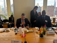 India underscores need for UNSC reforms at France-Mexico meeting