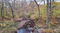 Get ready for cooler weather. The fall equinox starts today 