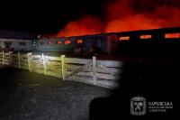 Russian forces attack 11 settlements in Kharkiv oblast over past day