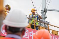 China's electrification rate surpasses that of major developed economies