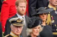 Paolo Odoli: Harry revelation reveals British perspective on Bermuda