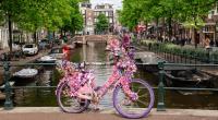 Amsterdam’s flower bike man must return to Florida over lack of residence permit