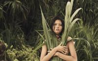 Fashion influences one third of world’s farmland report says