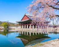 South Korea puts wellness tourism on statutory footing with new industry legislation