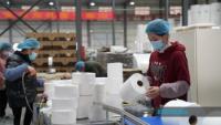 Business : Guangxiâ€™s Gangbei District Paper Industry Output Rises 24.37 Pct