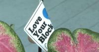 Columbia to recognize 21 Love Your Block projects at Health In Nature Festival