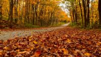 Fall begins Tuesday, but don't expect cooler weather just yet