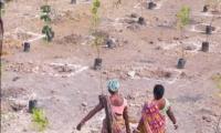 Coal India Limited’s annual CSR spend rises close to Rs 1,000 crore mark