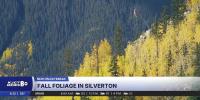 Colorado’s 2026 fall foliage, when and where will be the best to catch our beautiful fall colors