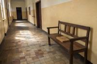 Congo’s Zero Kuluna: 561 Youths Vanish in a Year