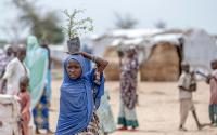 World Al Jazeera Hundreds flee homes in Far North Cameroon after armed group raid kills 15