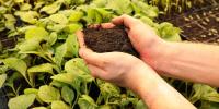 Ideas We Should Steal: Safely Making Compost From … Poop?