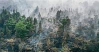 Indonesia forest fires may continue till early October