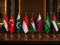 UAE and 7 nations warn against Gaza displacement