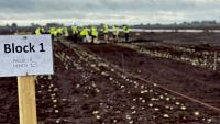 Irish-led study highlights potential for wetlands farming