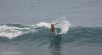 Riding the Waves to Professionalism