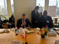 India attends France-Mexico-hosted meeting, underscores need for UNSC reforms