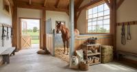 Top Sustainable Barn Products for Eco-Conscious Owners
