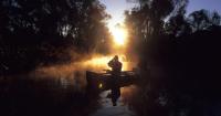 C.C. Lockwood spent his career photographing nature in Louisiana. An exhibit highlights his work.