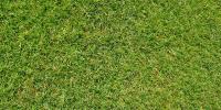 Las Vegas parks project draws pushback over artificial turf