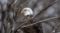Game and Parks: Nebraskaland photo contest begins Oct. 1