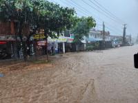 El Niño: Farmers urged to boost pest monitoring