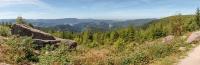 Global Warming and Forest Fire in Germany in 2026