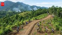 Philippine forests are being restored without planting every tree; scientists use natural regeneration to bring degraded land back