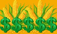 Mexican Corn Buyers Tour Midwest to Strengthen U.S. Supply Connections