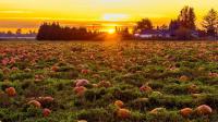 Numbers Strong as Campground Industry Enters Fall Season