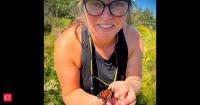 Tiny Bluetooth tags now track monarch butterflies' incredible journey from Canada to Mexico, revealing new migration routes