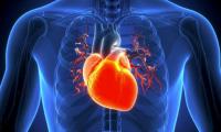 Congress Raises Alarm Over Heart Disease Risk Among South Asians