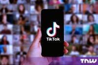 TikTok to pay Alabama at least $100m to settle teen safety lawsuit