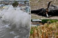 Super El Niño breaks record months before peak as scientists warn of worst season in 1,000 years