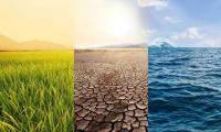 Climate risk too big for Govt alone – Shafudah