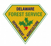 Delaware Forest Service Joins Regional Partners in Renewing Chesapeake Bay Shared Stewardship Agreement