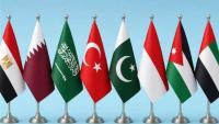 8 Muslim nations demand Israeli commitments on Gaza