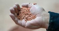 Canada is losing its US potash advantage to Belarus and an African country that has already received $3 million in investment for future supply