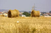 German-based doctor allegedly farms Turkish Cypriot land for subsidy